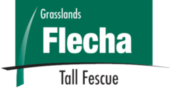 Flecha Tall Fescue logo